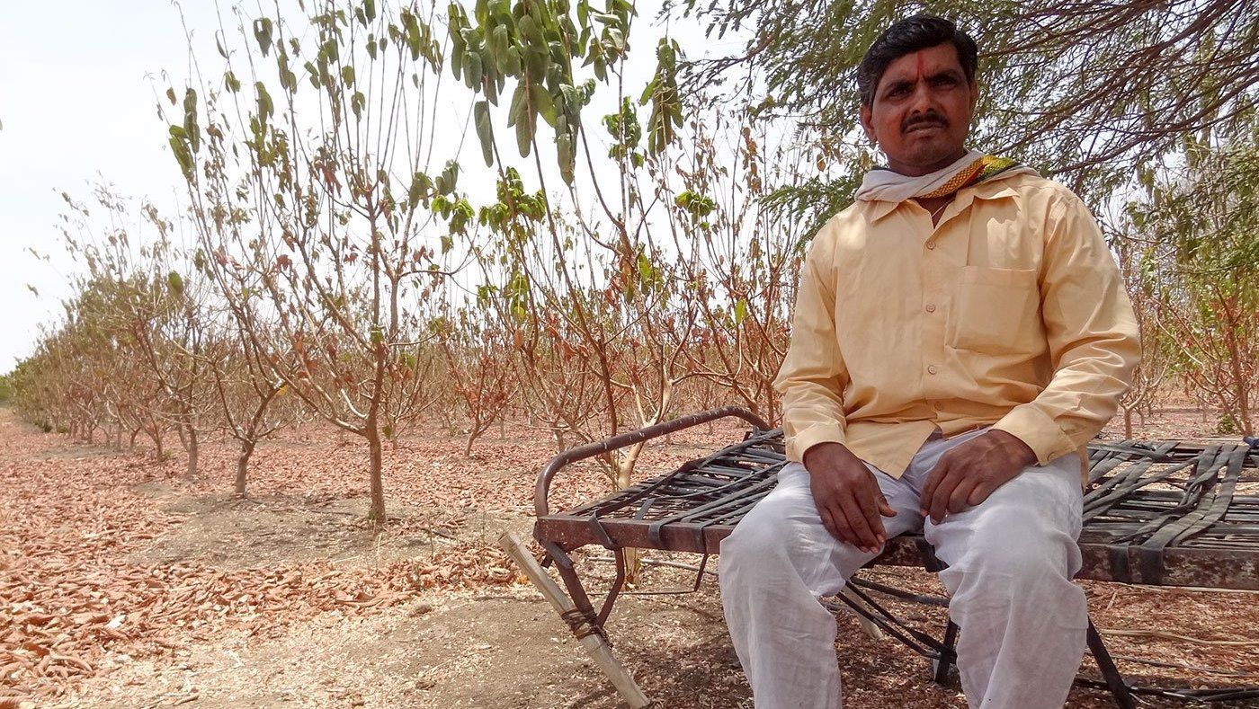 प्रह्लाद-के-लिए-कठिन-विकल्प-गाय-या-अमरूद