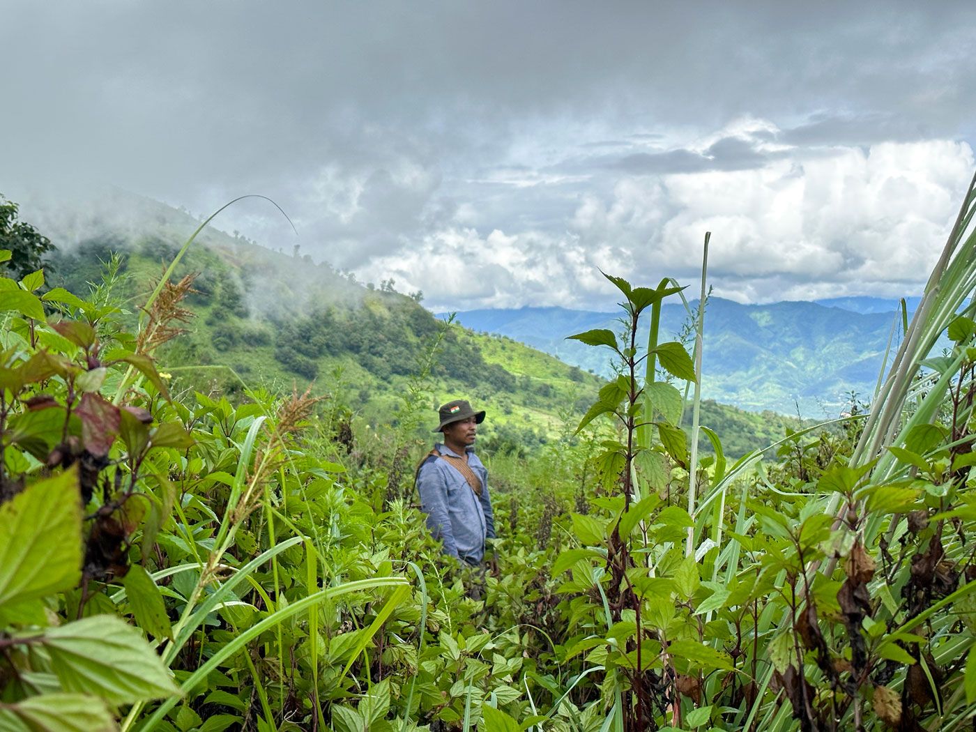 kangpokpi-farmers-waiting-to-be-rehabilitated-ur