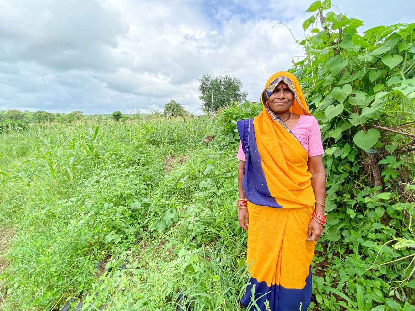 chungunas-gulabrani-farms-the-organic-way-ta