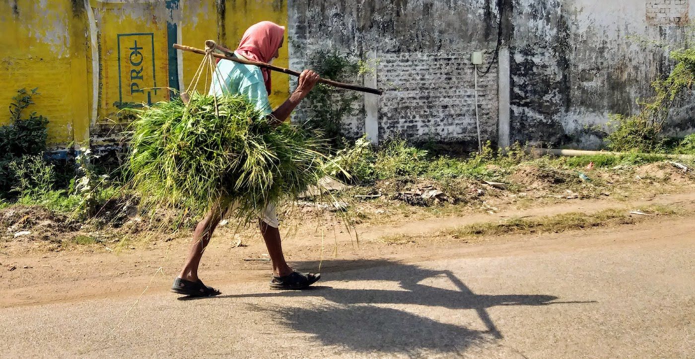 हमारी-एकमात्र-संपत्ति-ये-हाथ-पैर-हैं
